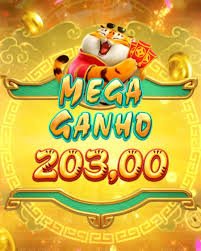 jillok Platform Features Live Casino Card Games Sports Betting Myanmar